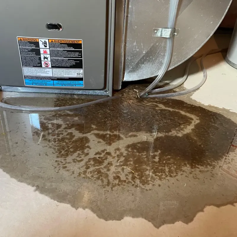 Appliance Leak Cleanup in Thomasville, AL